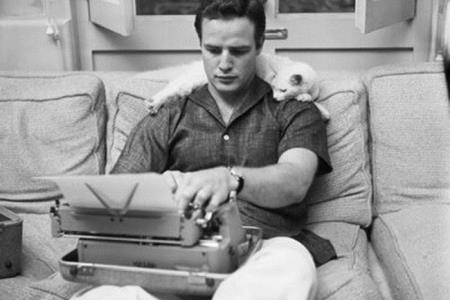 Znani in njihovi mačji ljubljenčki